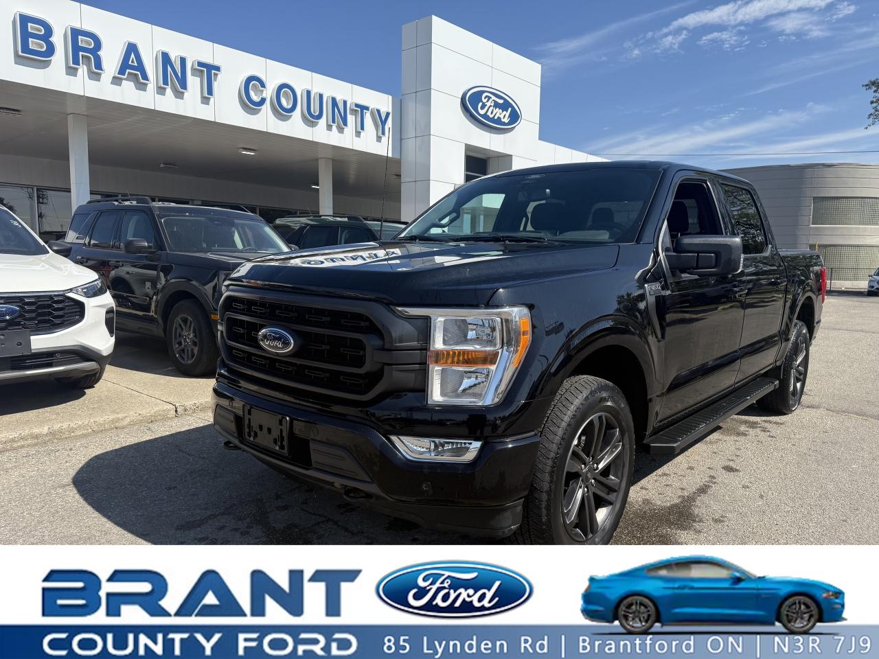 Used 2022 Ford F-150 XLT | 301A | XLT SPORT | REMOTE START | 2.7L V6 | for sale in Brantford, ON