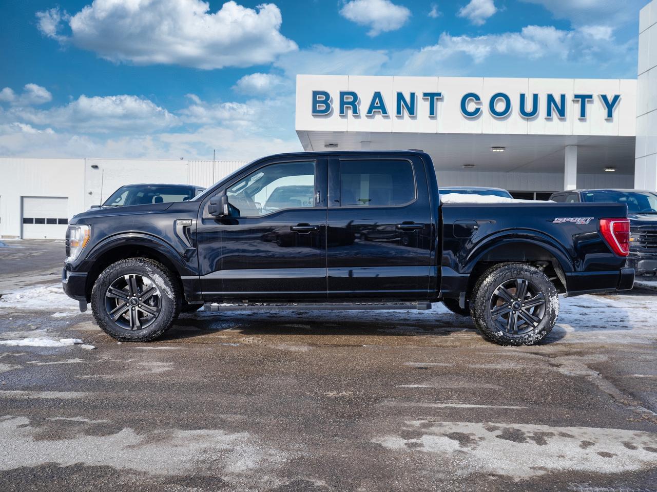 2022 Ford F-150 XLT SPORT | 301A | FULL SIZE PICKUP | NAVIGATION Photo
