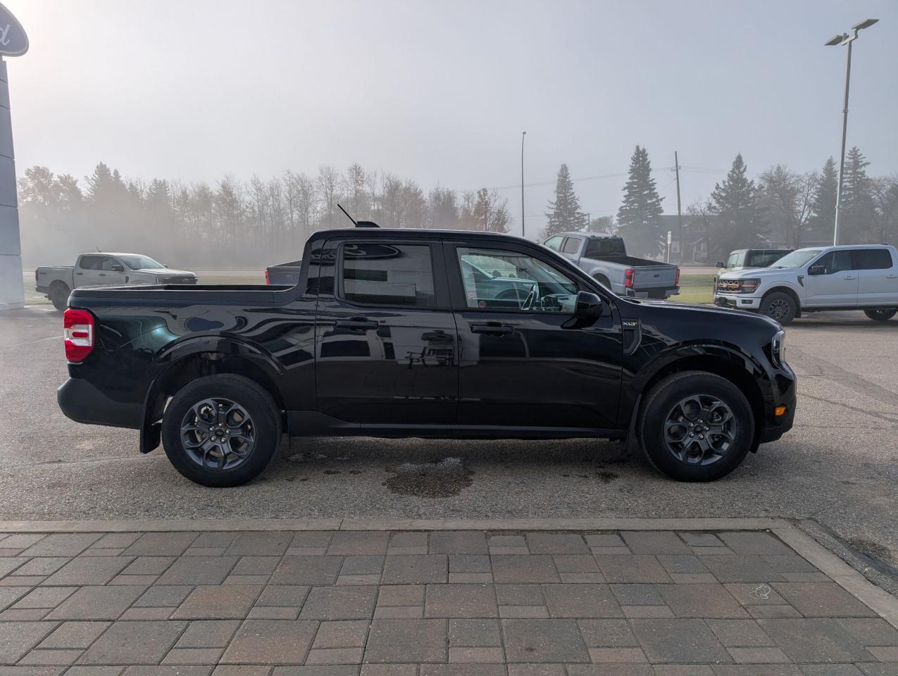 2025 Ford Maverick XLT Photo4