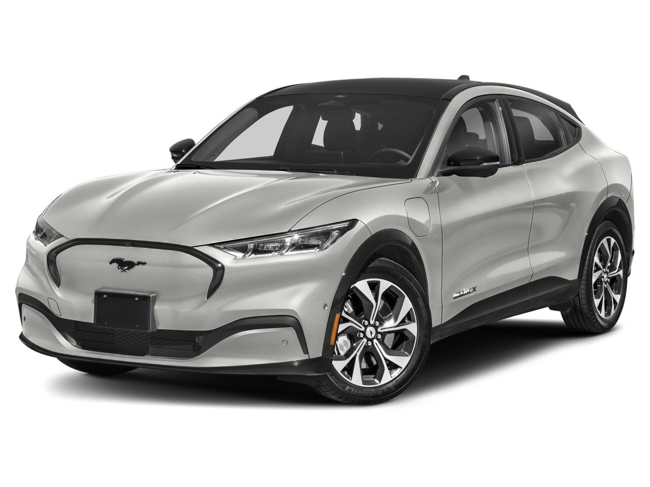 2021 Ford Mustang Mach-E Premium Photo0