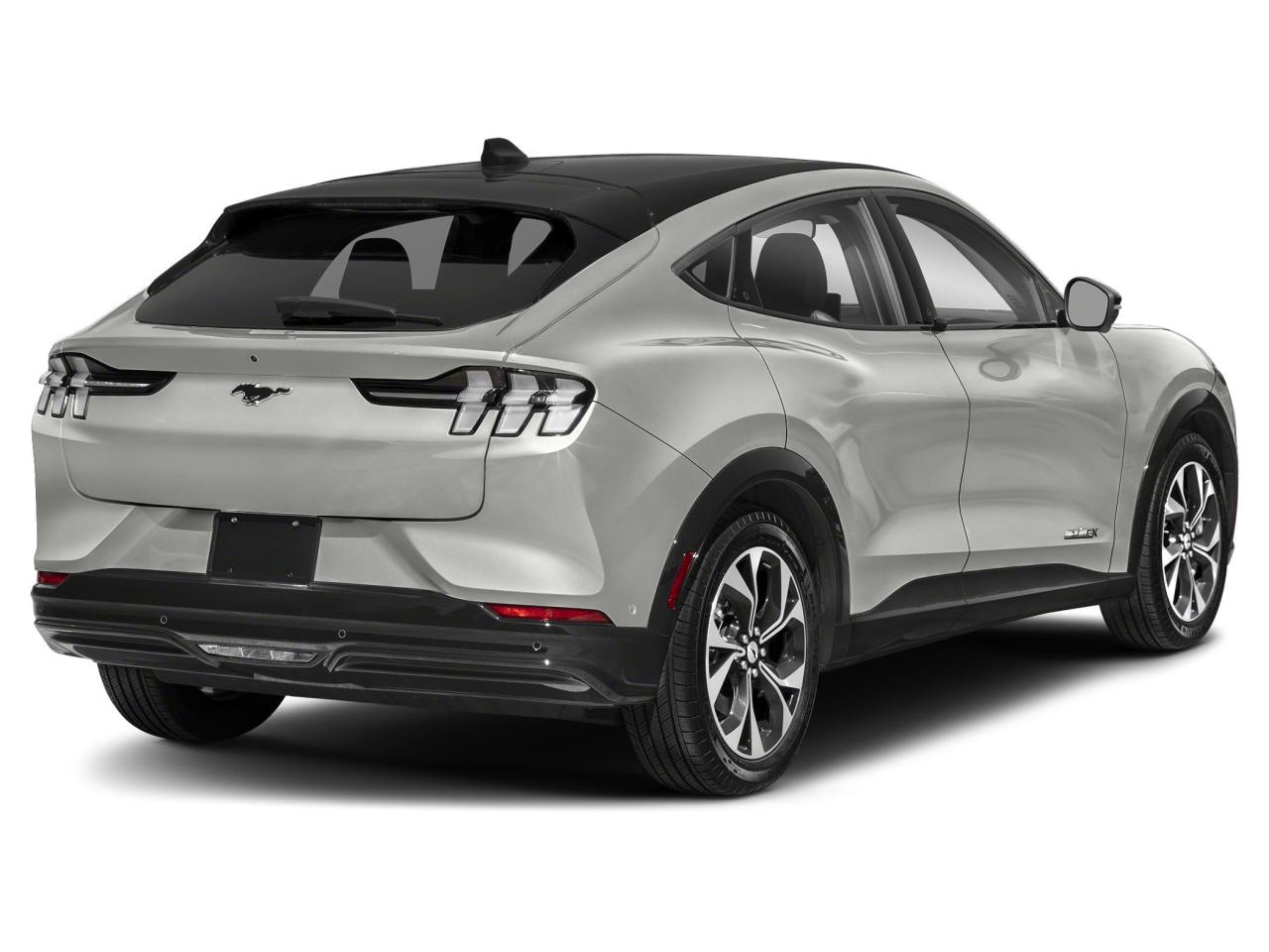 2021 Ford Mustang Mach-E Premium Photo5