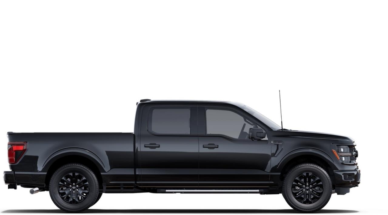 2025 Ford F-150 XLT Photo
