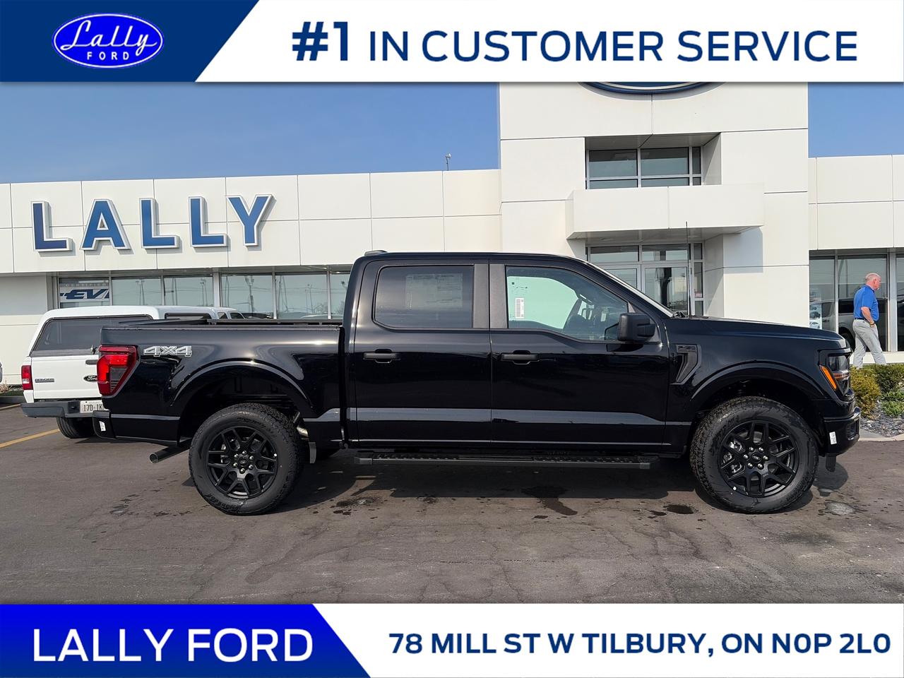 2025 Ford F-150 STX Photo