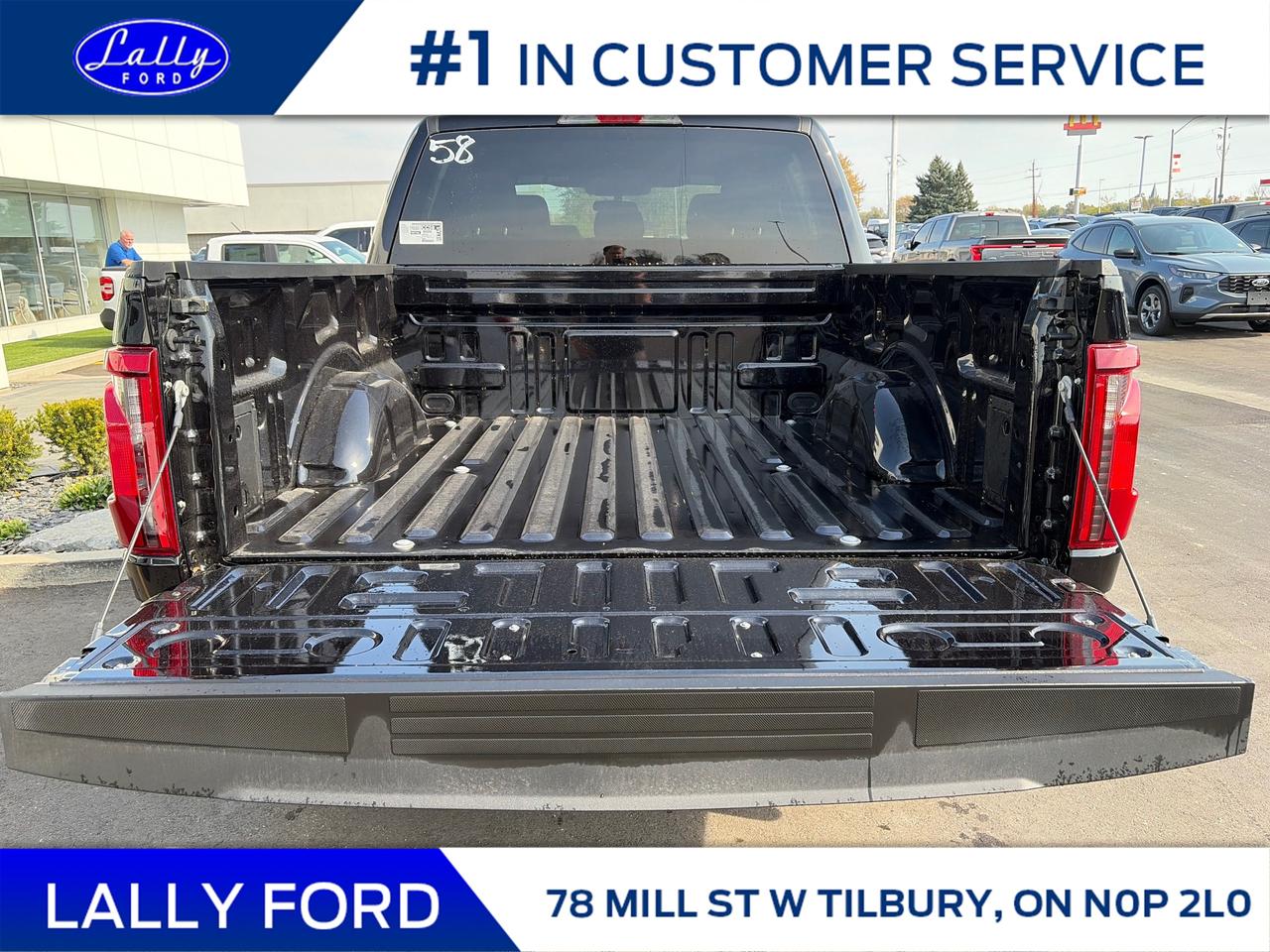 2025 Ford F-150 STX Photo