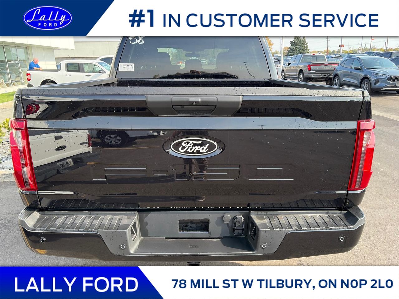 2025 Ford F-150 STX Photo