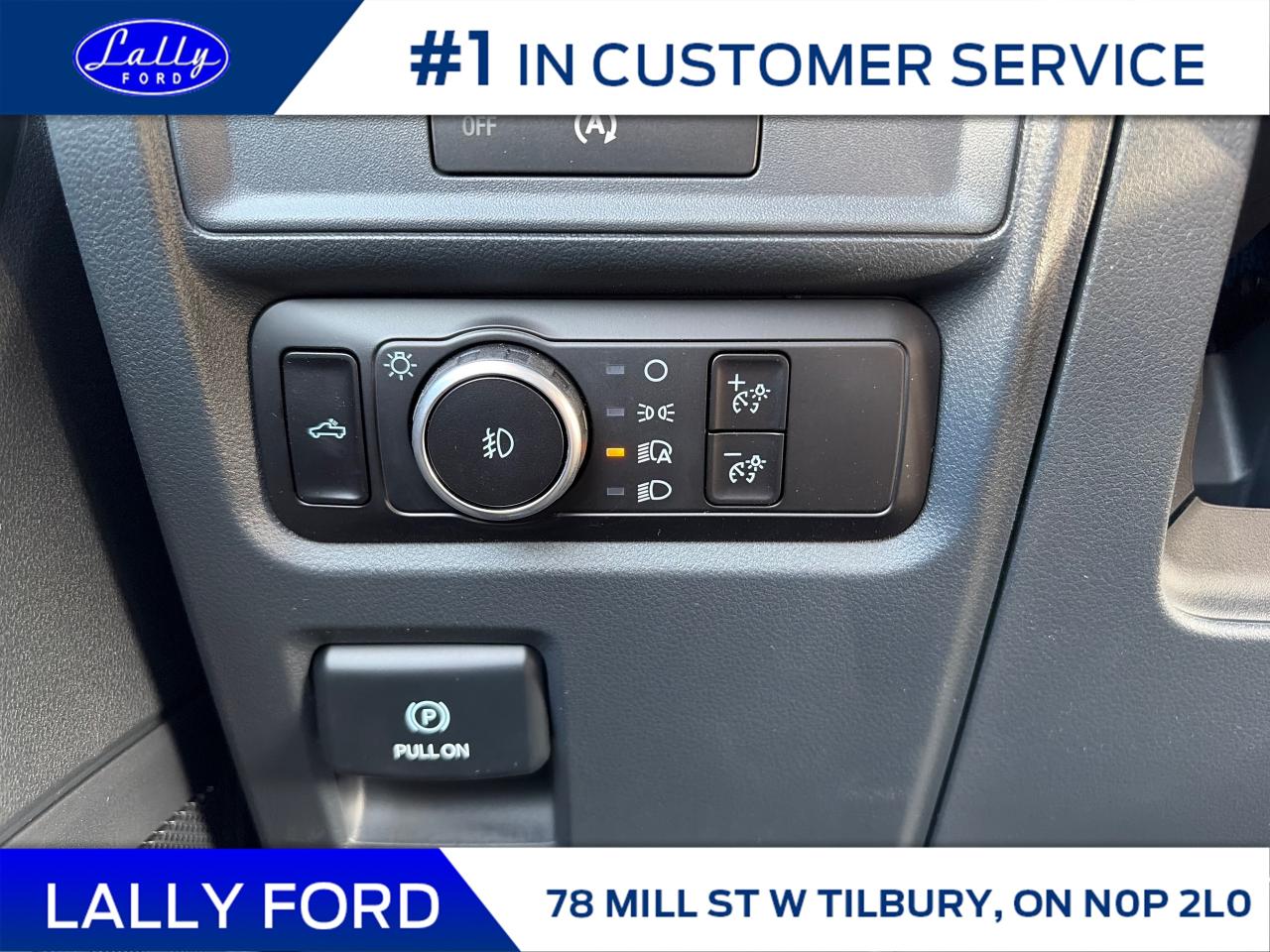 2025 Ford F-150 STX Photo