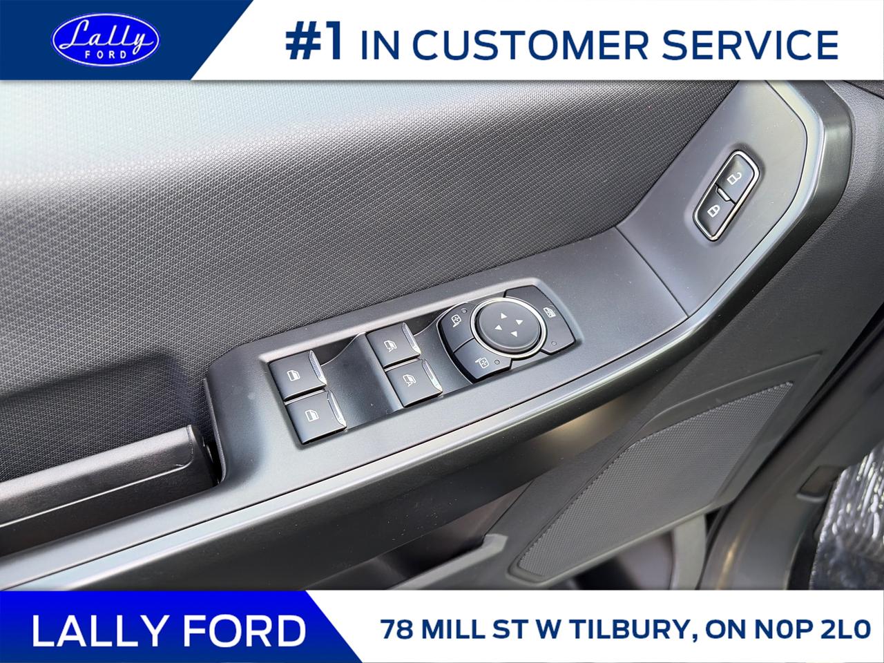 2025 Ford F-150 STX Photo