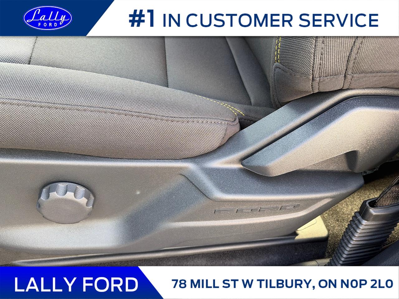 2025 Ford F-150 STX Photo