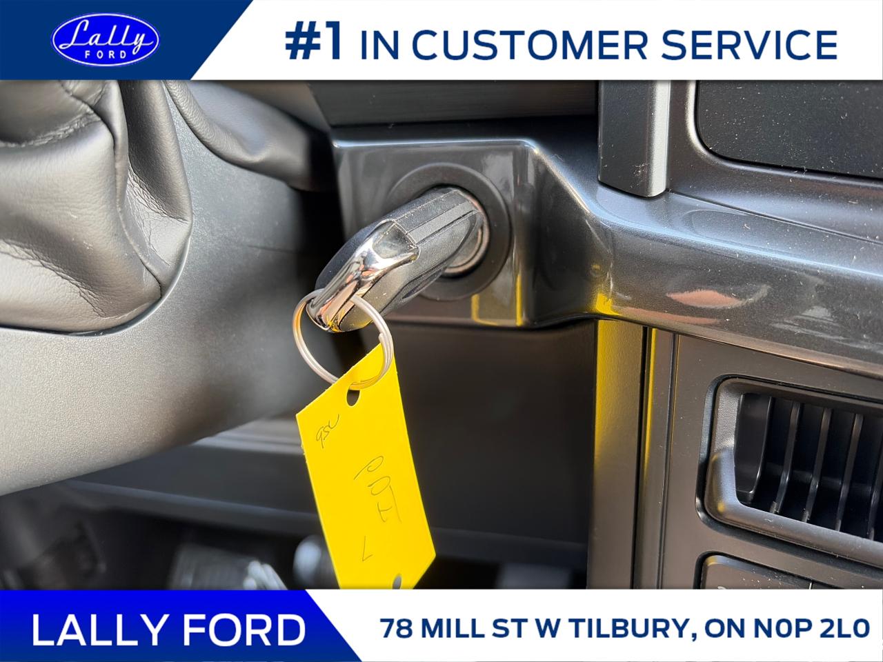 2025 Ford F-150 STX Photo