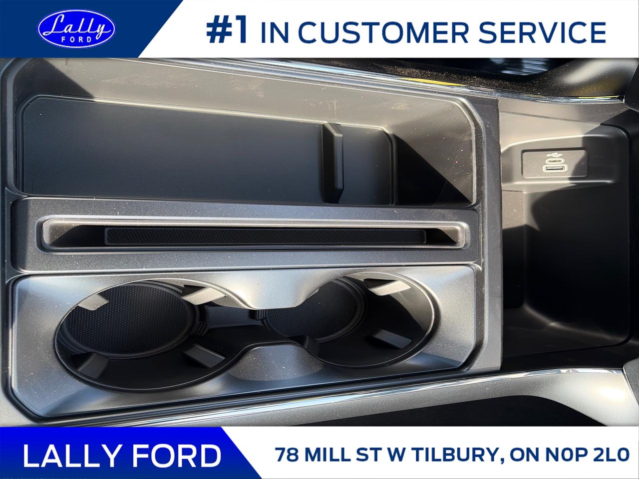 2025 Ford F-150 STX Photo