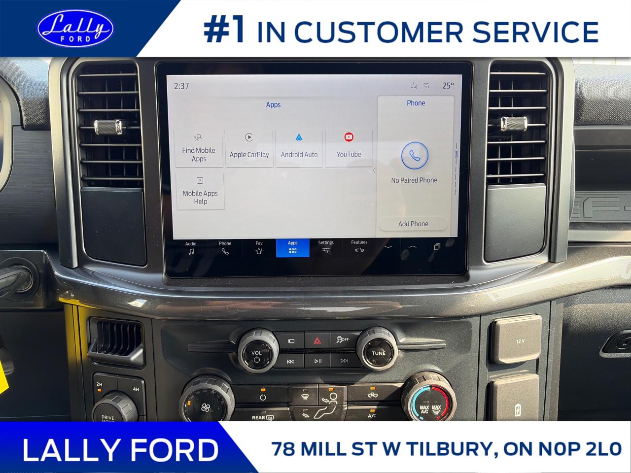 2025 Ford F-150 STX Photo