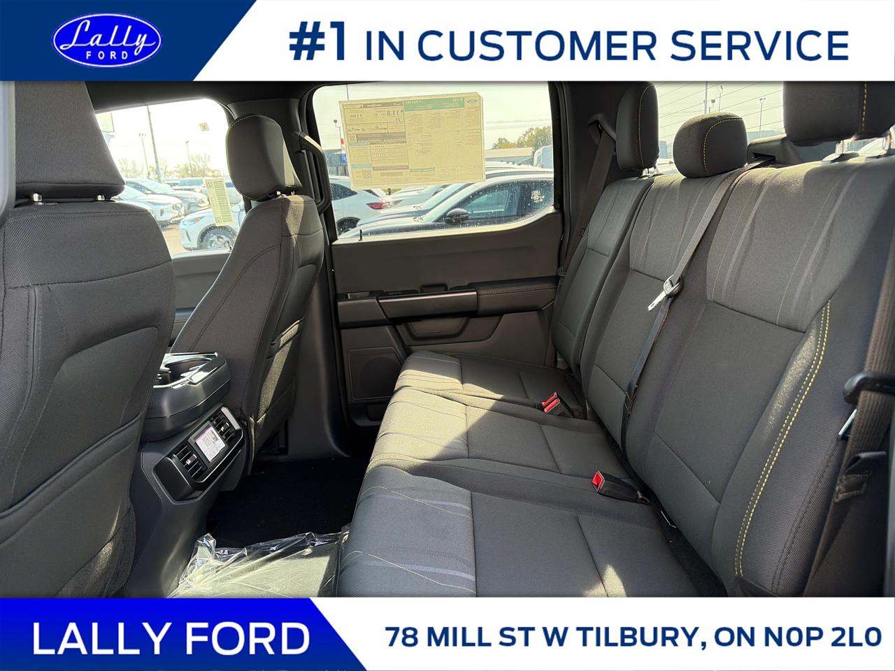 2025 Ford F-150 STX Photo