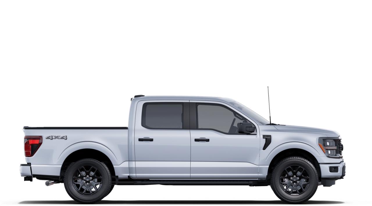 2025 Ford F-150 STX 4WD SuperCrew 5.5' Box Photo5