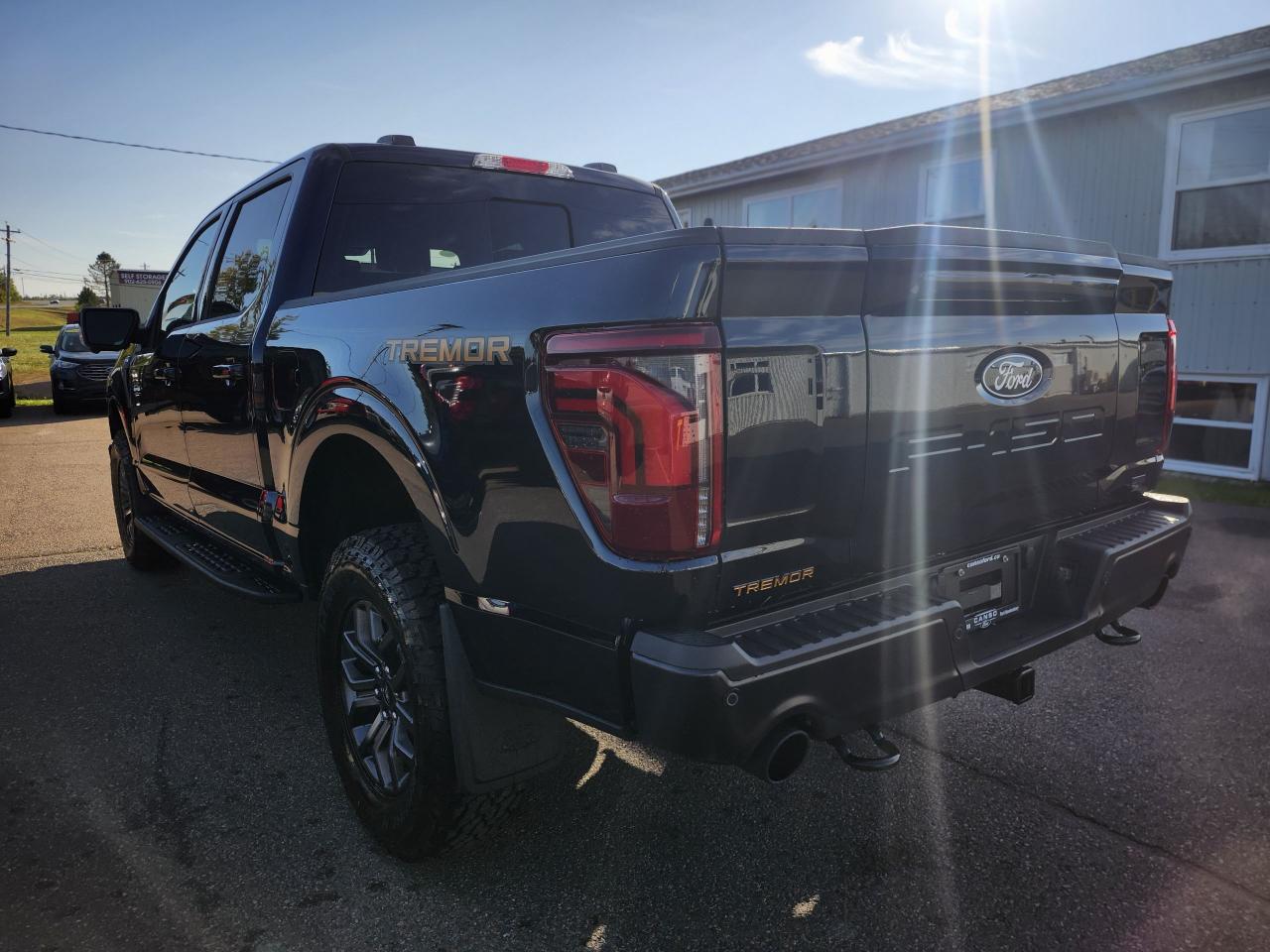 2025 Ford F-150 Tremor 4WD SuperCrew 5.5' Box Photo5