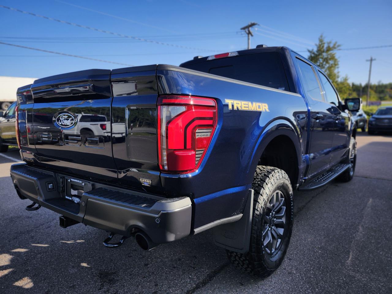 2025 Ford F-150 Tremor 4WD SuperCrew 5.5' Box Photo4