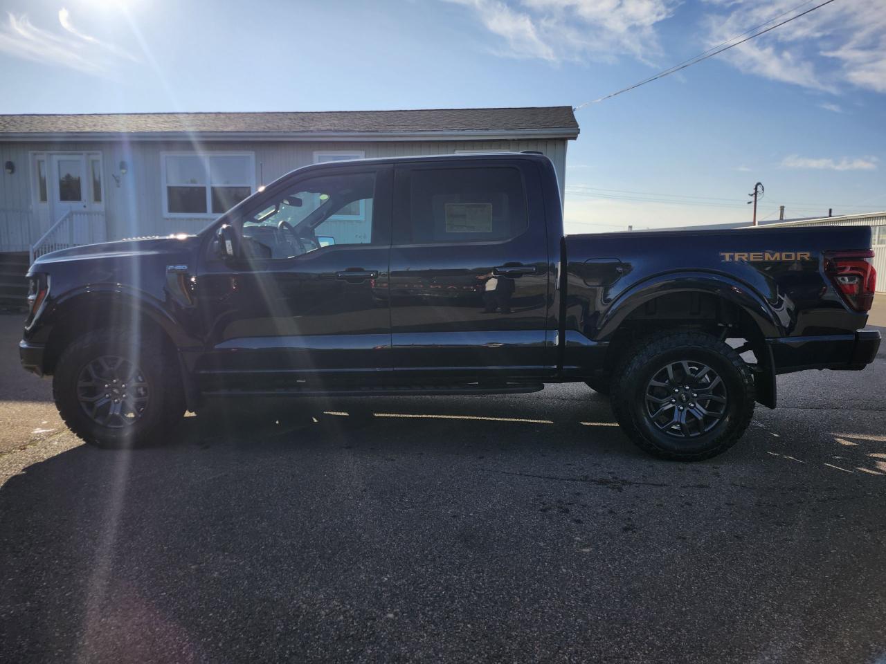 2025 Ford F-150 Tremor 4WD SuperCrew 5.5' Box Photo5