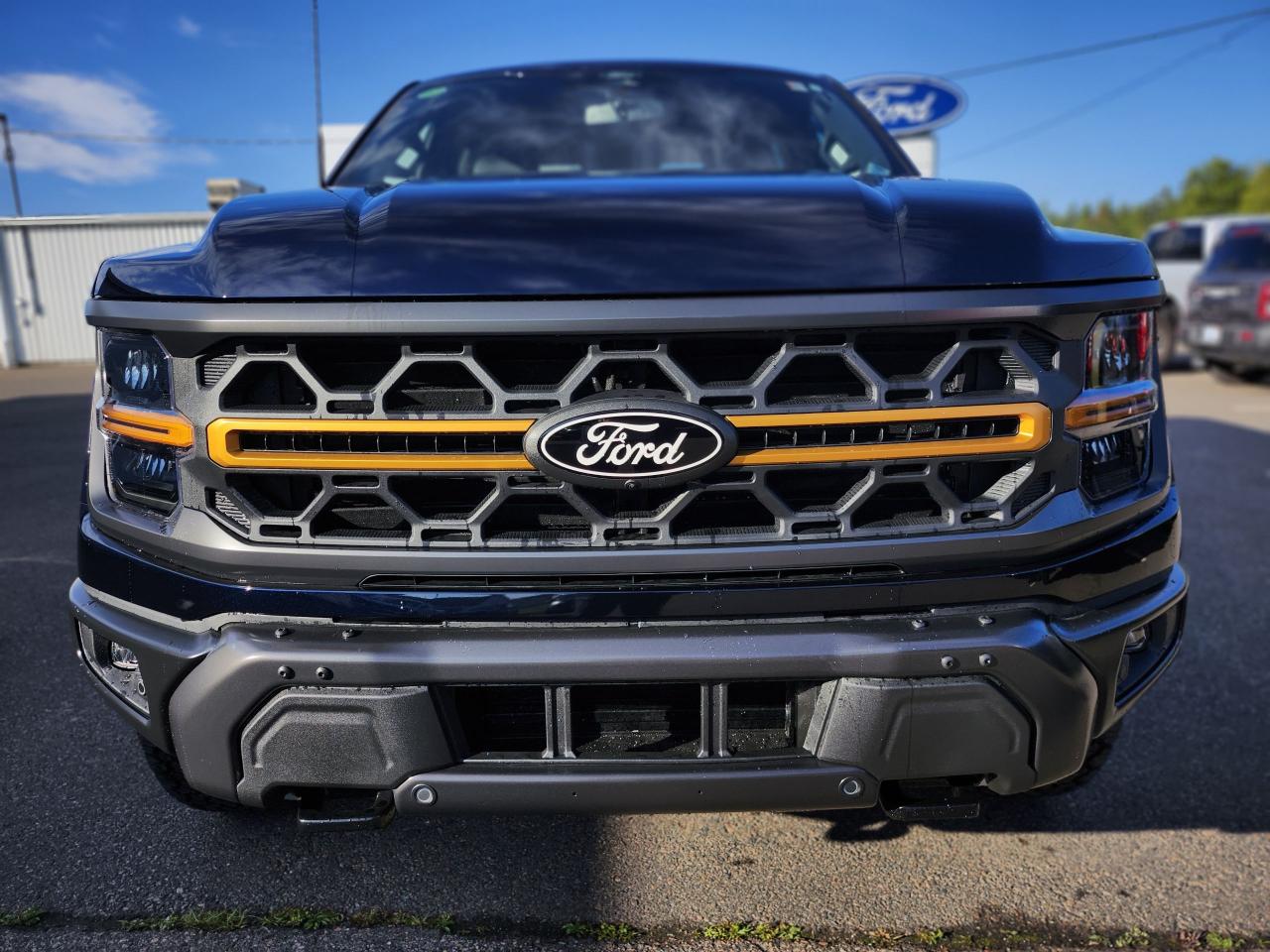 2025 Ford F-150 Tremor 4WD SuperCrew 5.5' Box Photo1