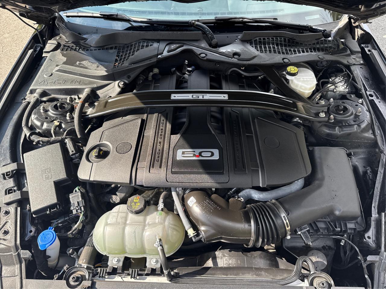 2023 Ford Mustang GT - Photo #10