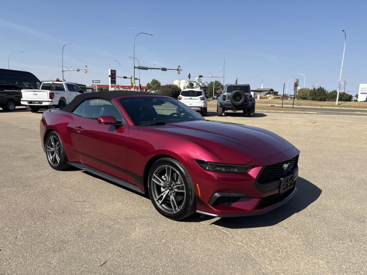 Used 2025 Ford Mustang EcoBoost Premium for sale in Camrose, AB