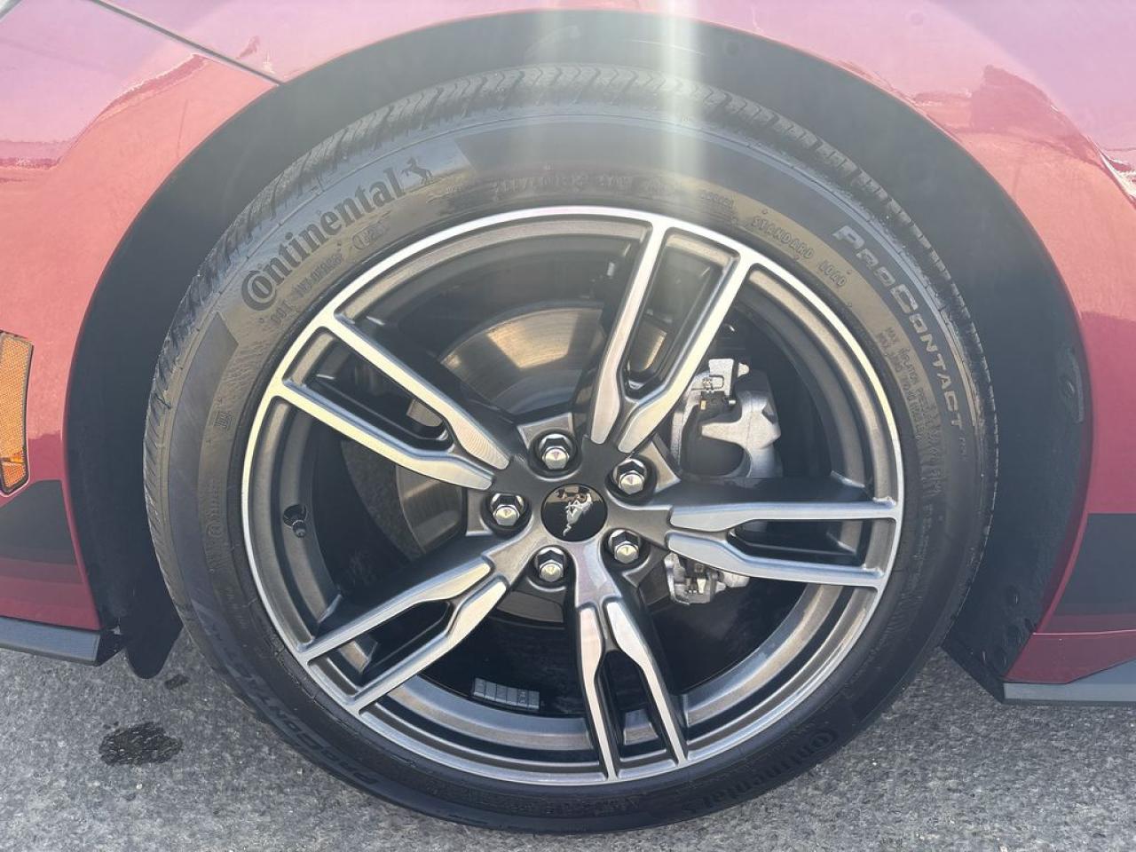 2025 Ford Mustang EcoBoost Premium Photo