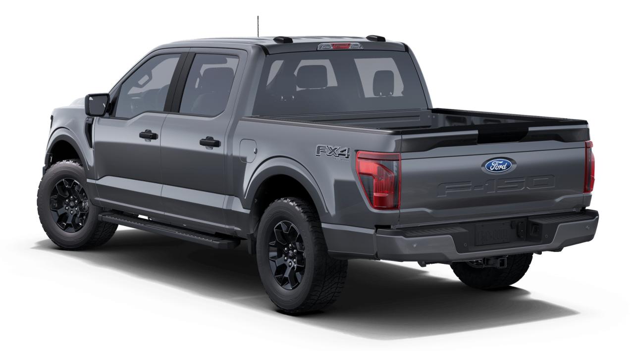 2025 Ford F-150 STX 4WD SuperCrew 5.5' Box 201A Photo1