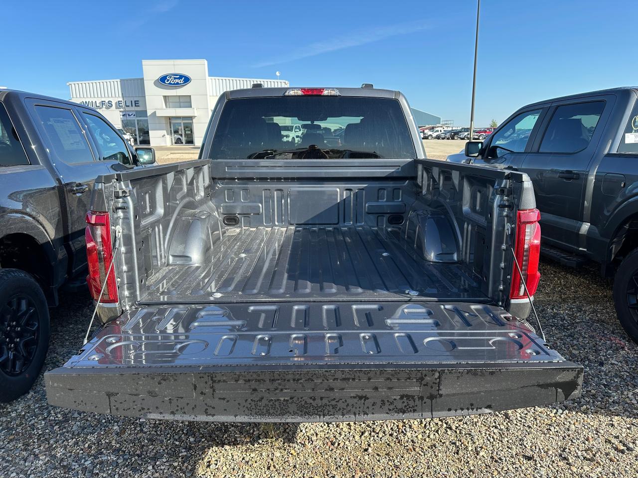 2025 Ford F-150 STX 4WD SuperCrew 5.5' Box 201A Photo5