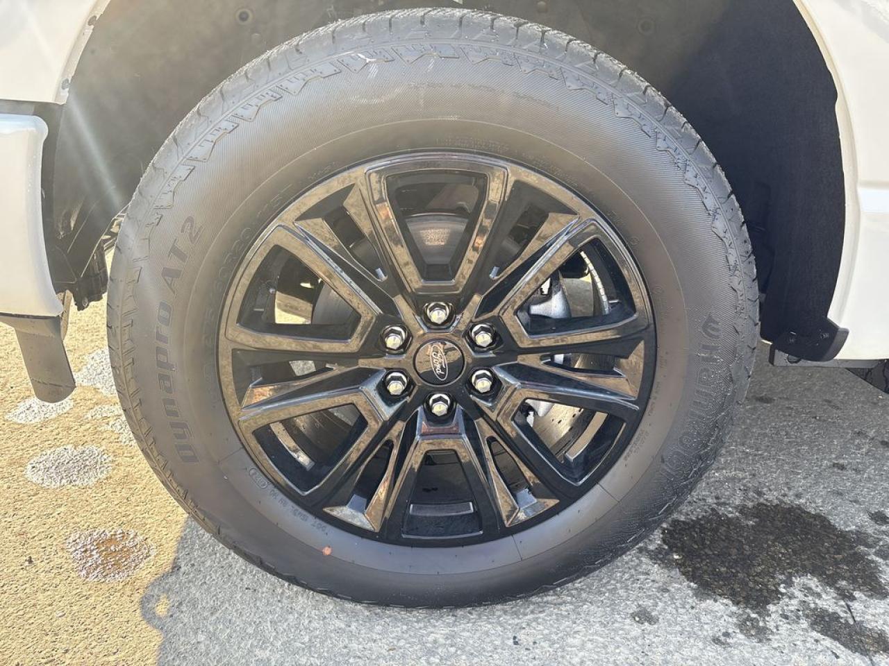 2025 Ford F-150 Platinum Photo