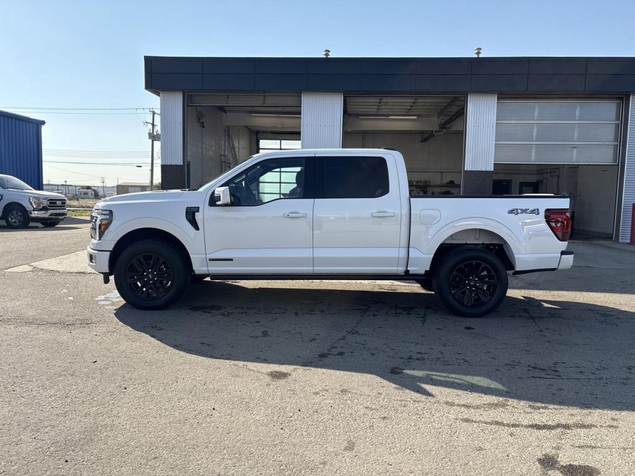 2025 Ford F-150 Platinum Photo3