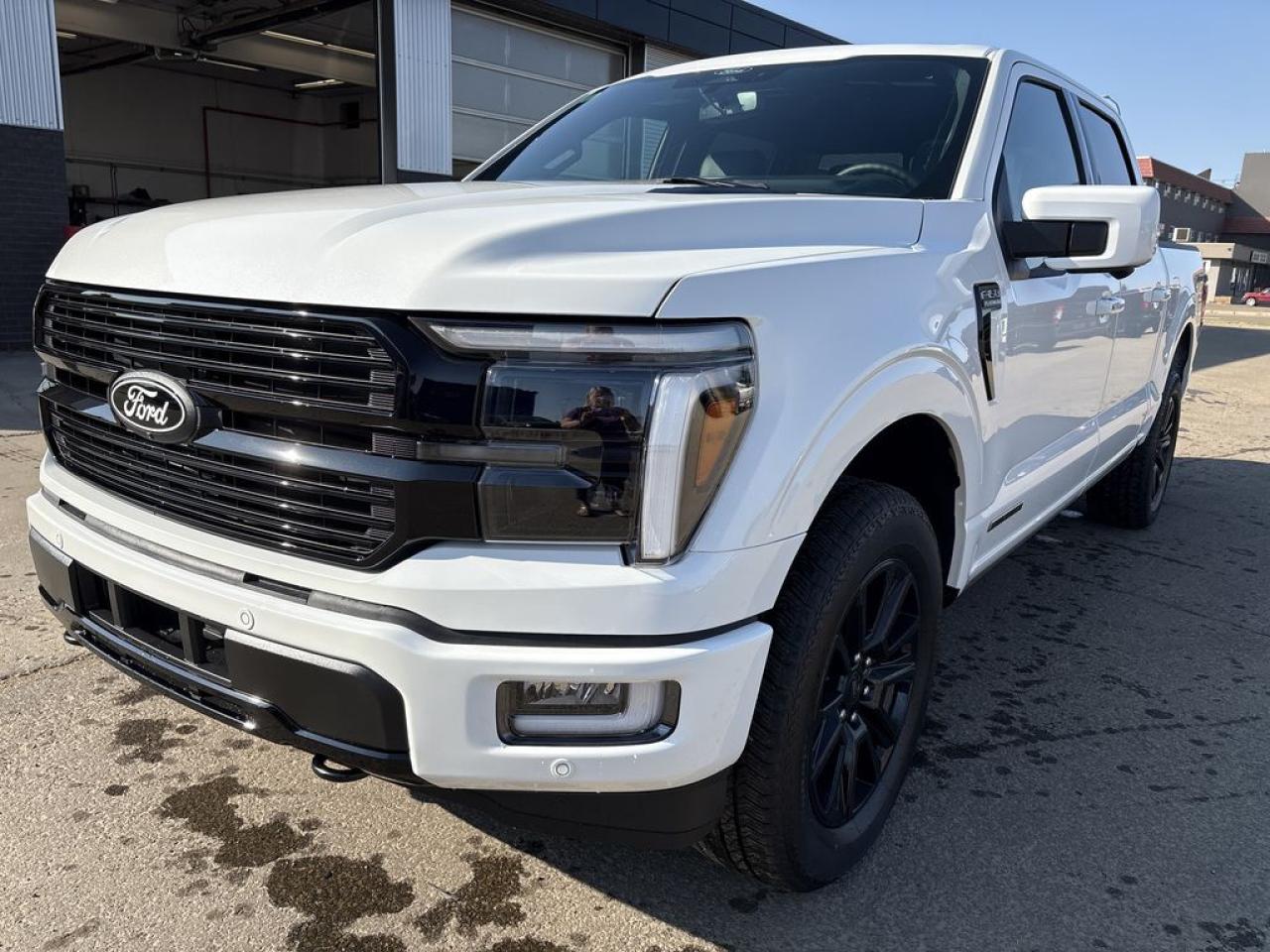 2025 Ford F-150 Platinum Photo