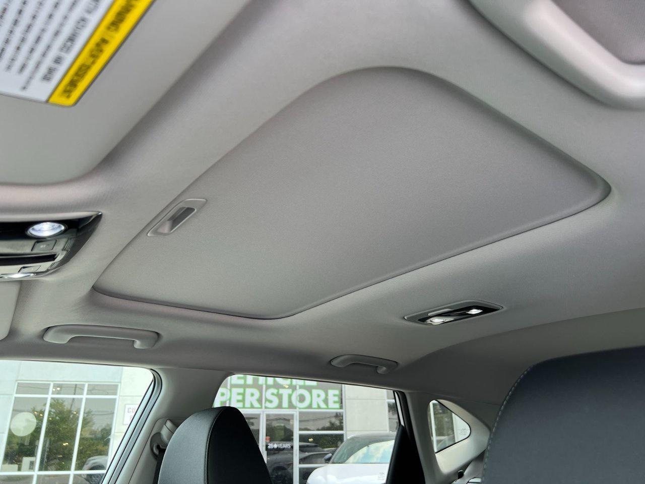 2026 Kia Seltos EX Photo