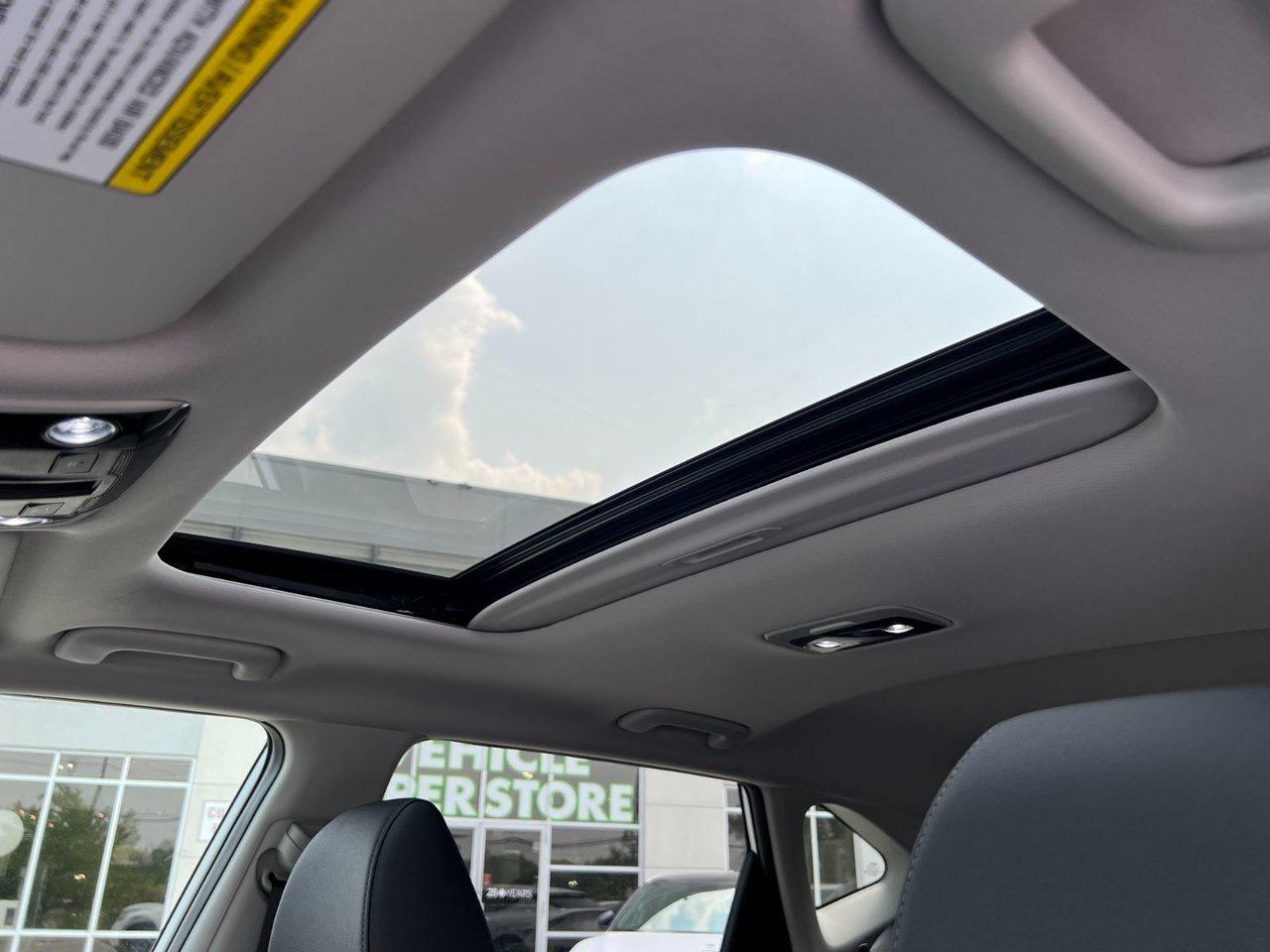 2026 Kia Seltos EX Photo