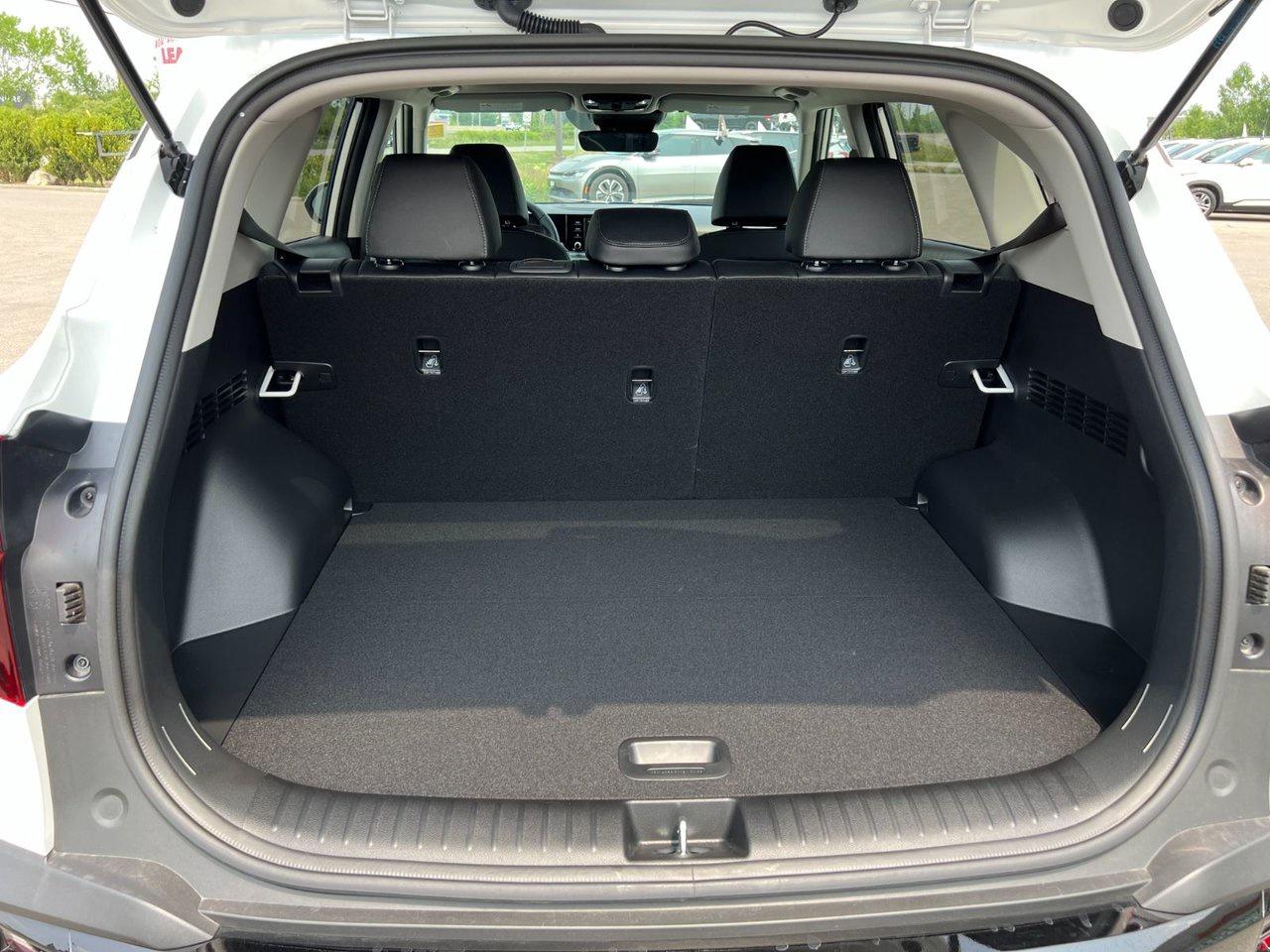 2026 Kia Seltos EX Photo