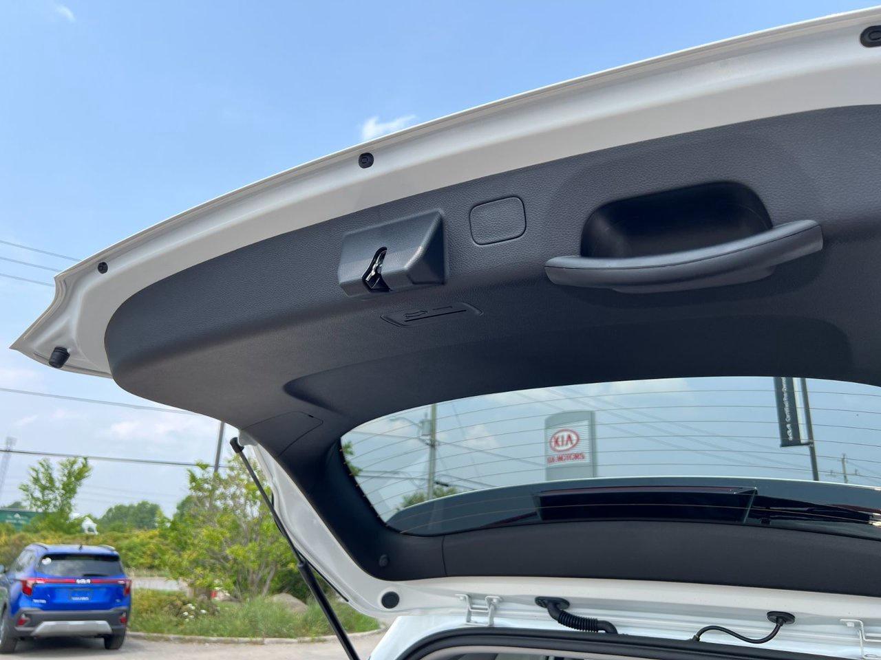 2026 Kia Seltos EX Photo