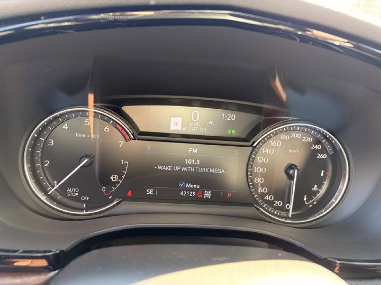 12981310
