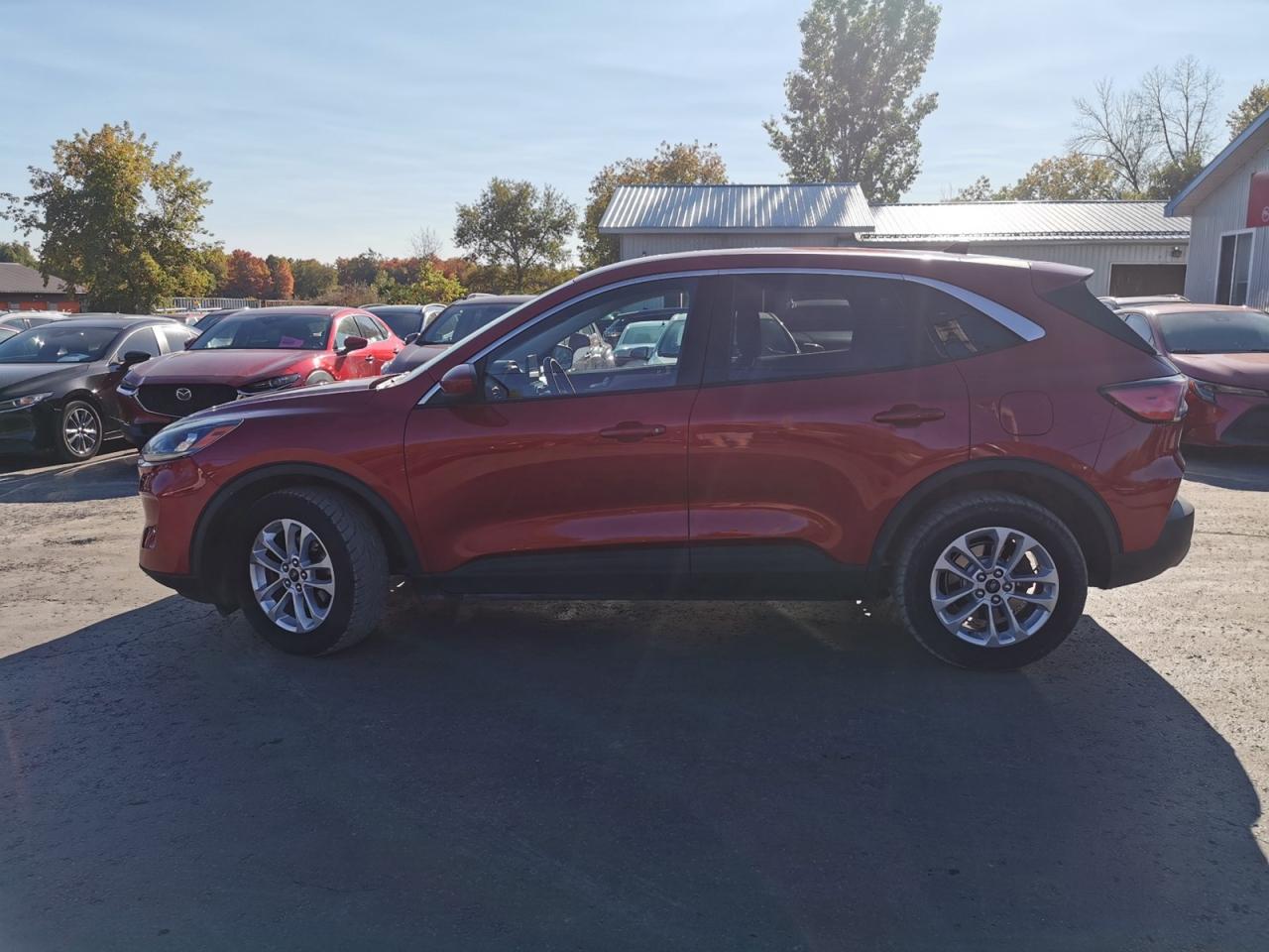 2021 Ford Escape SE - Photo #2