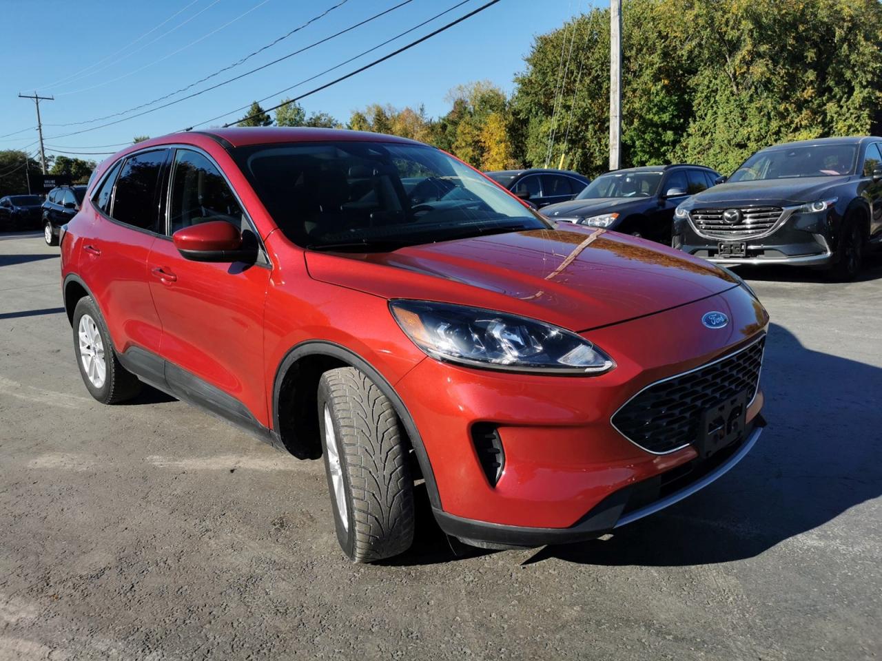 2021 Ford Escape SE - Photo #7