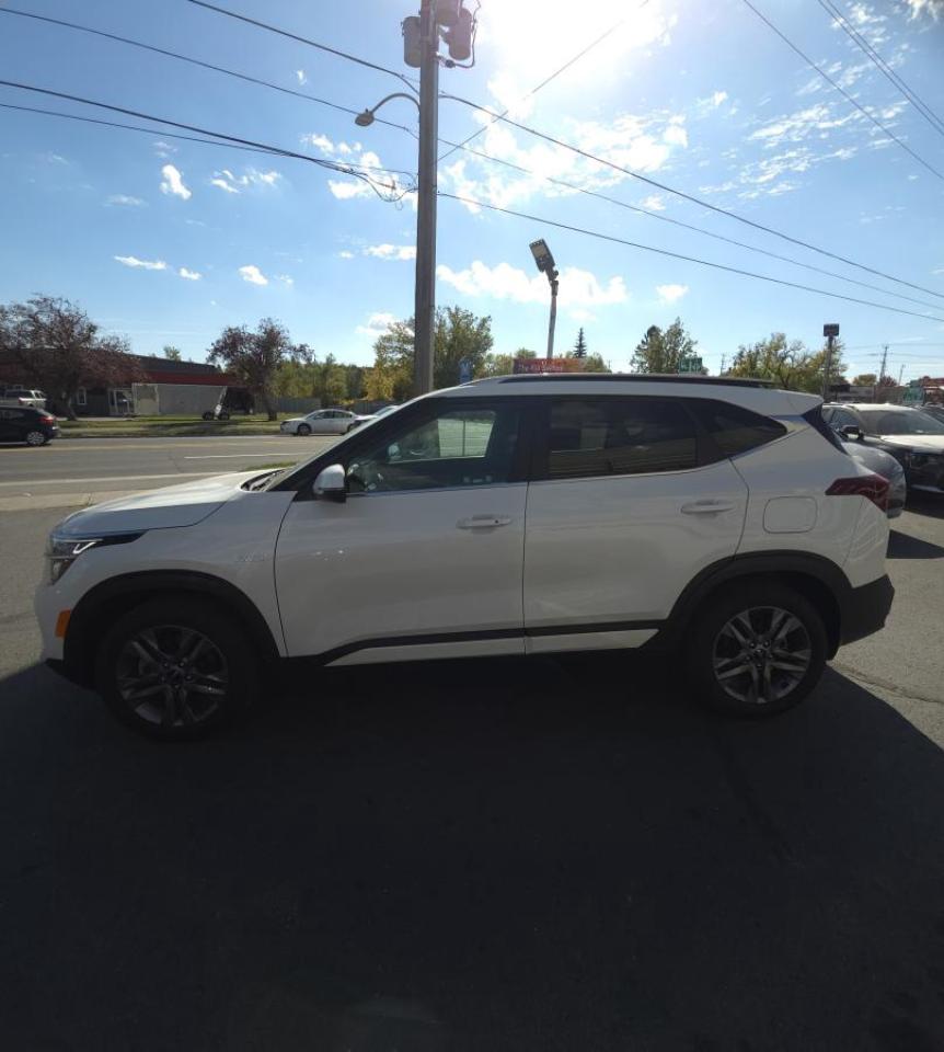 2023 Kia Seltos EX AWD Photo2