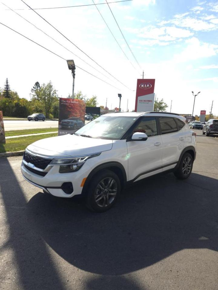 Used 2023 Kia Seltos EX AWD for sale in Peterborough, ON