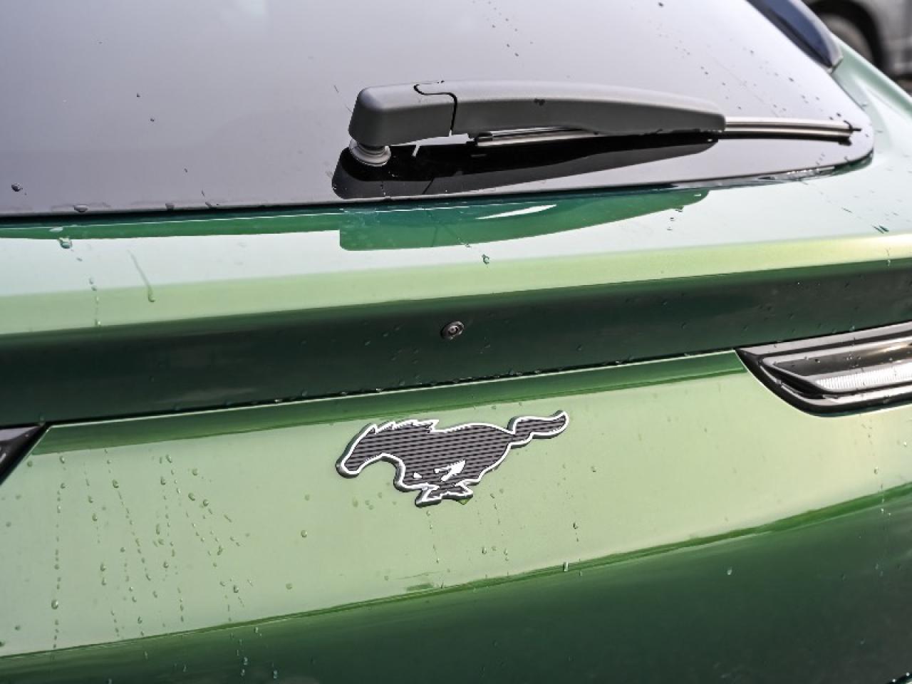 2025 Ford Mustang Mach-E Select Photo