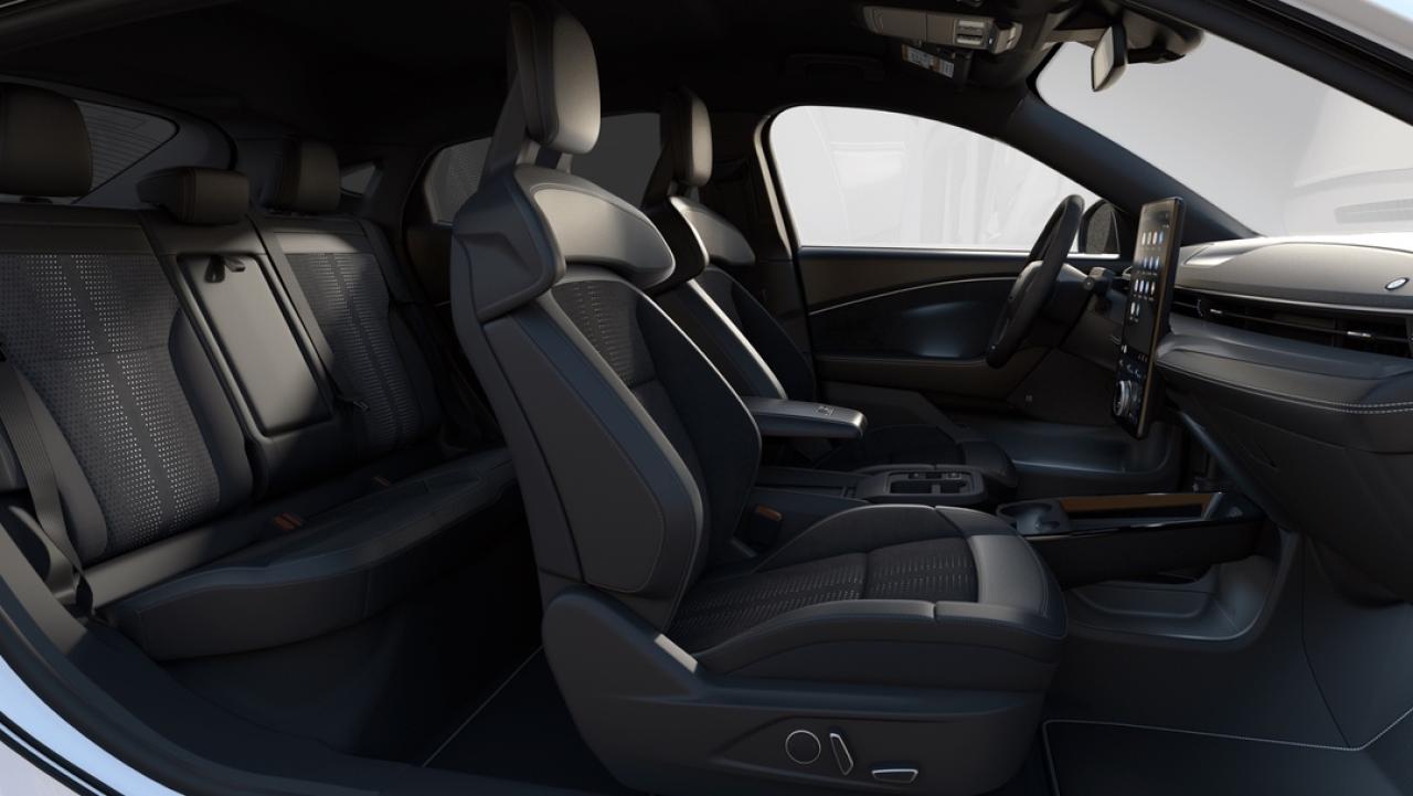 2025 Ford Mustang Mach-E GT Photo