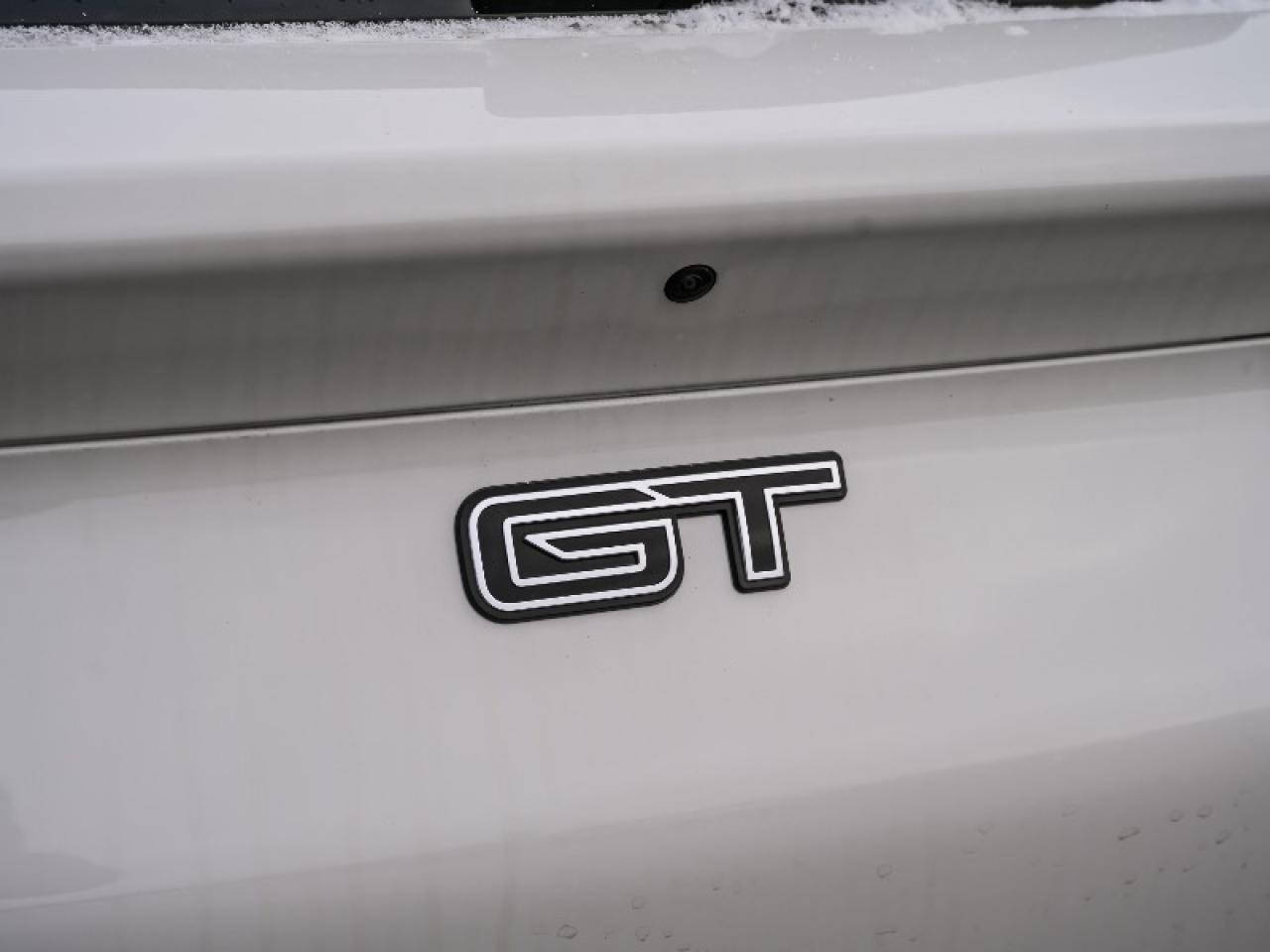 2025 Ford Mustang Mach-E GT Photo