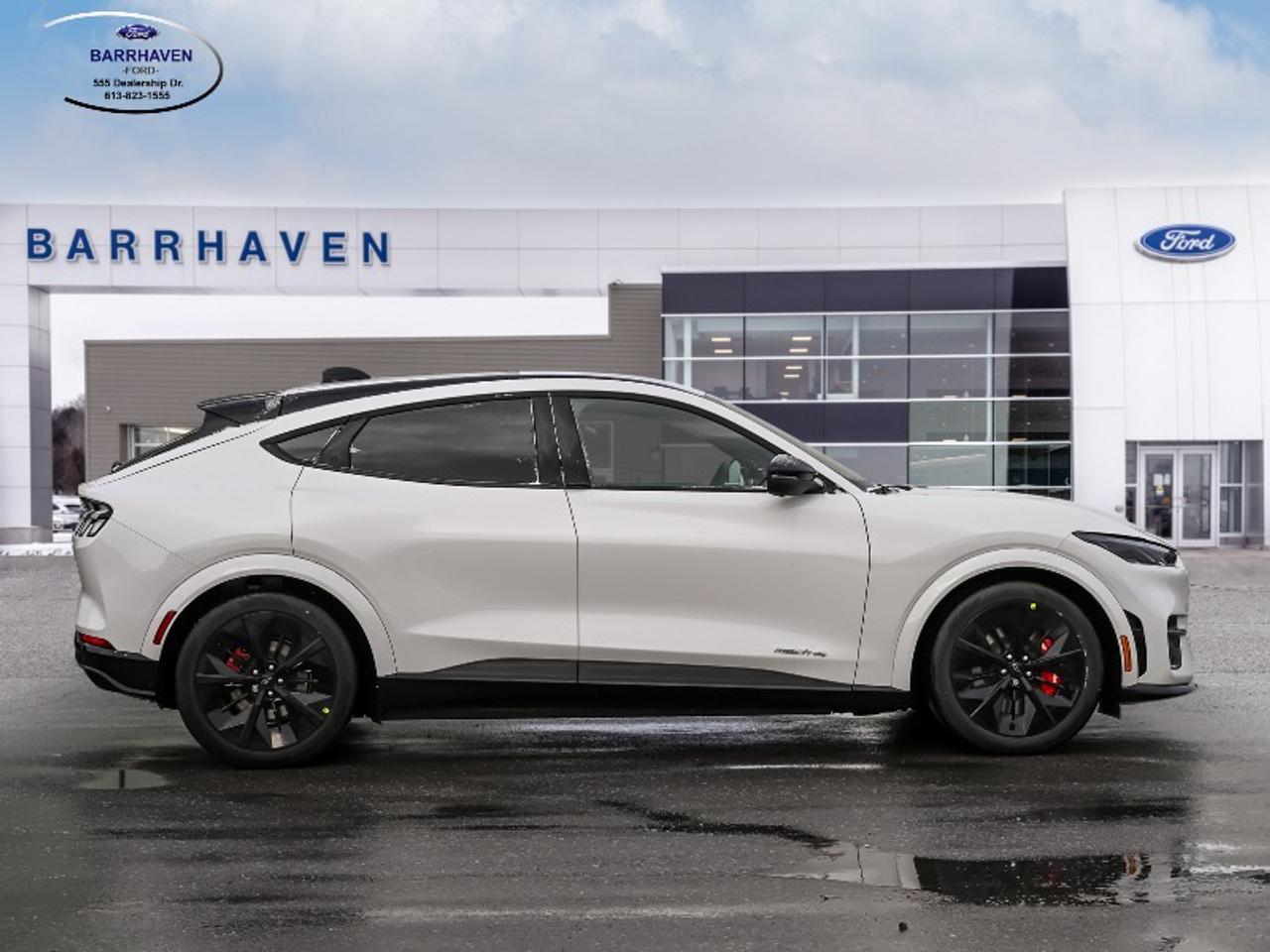 2025 Ford Mustang Mach-E GT Photo