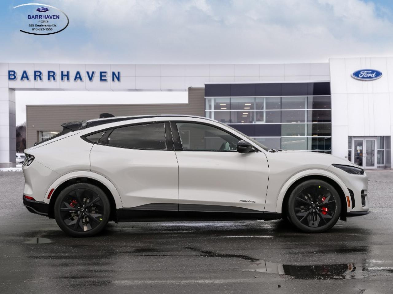 2025 Ford Mustang Mach-E GT Photo