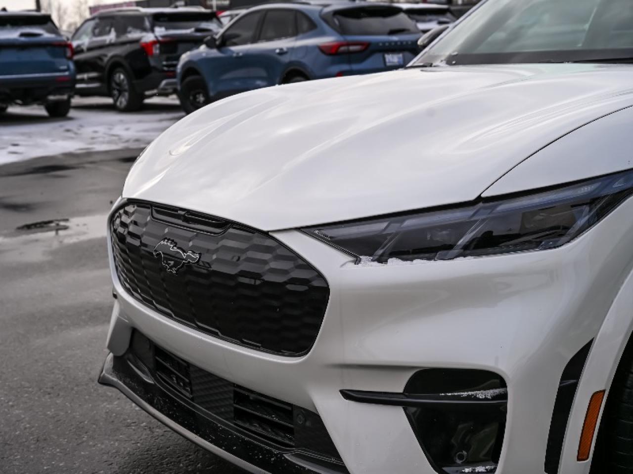 2025 Ford Mustang Mach-E GT Photo