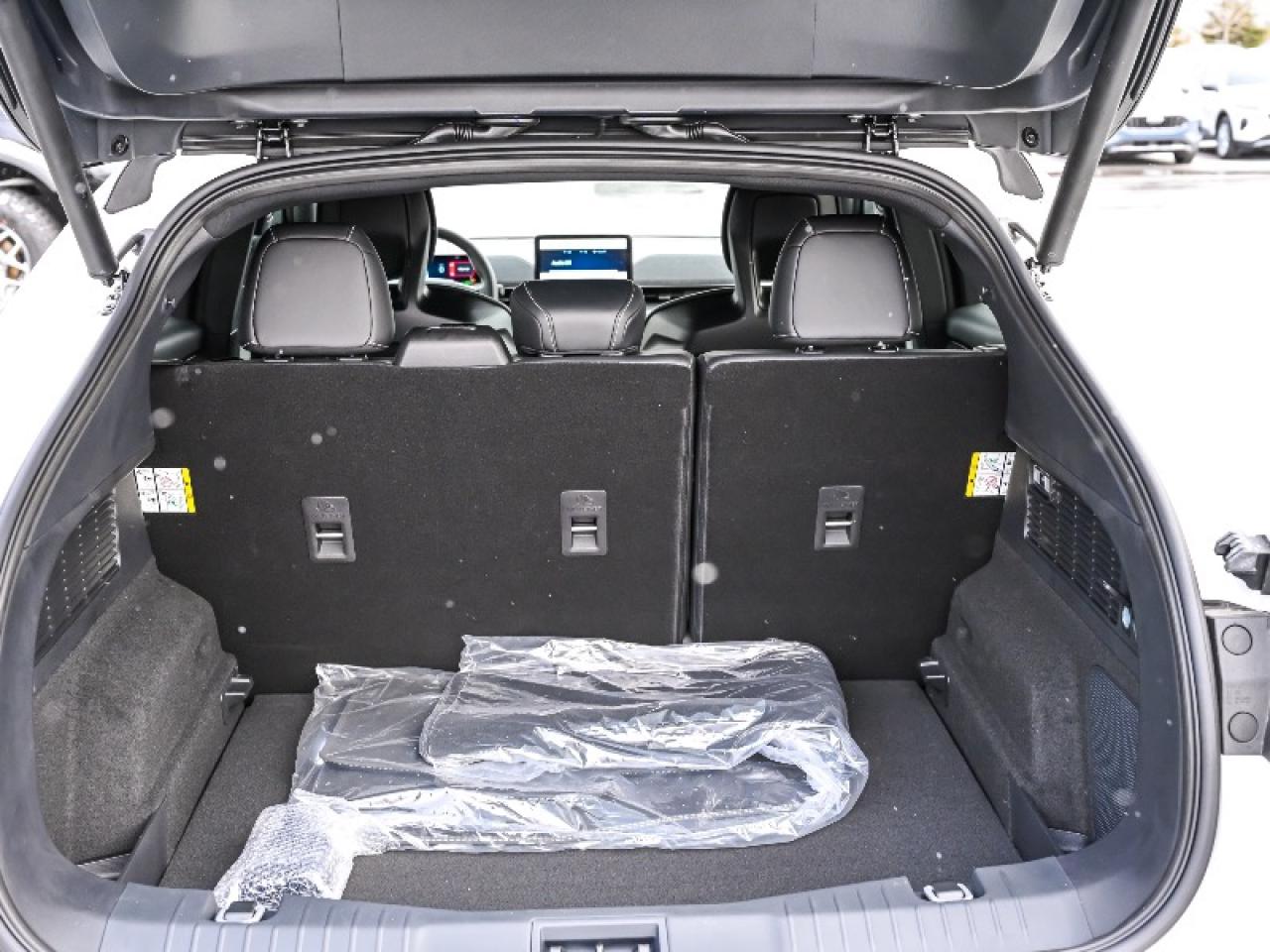 2025 Ford Mustang Mach-E GT Photo