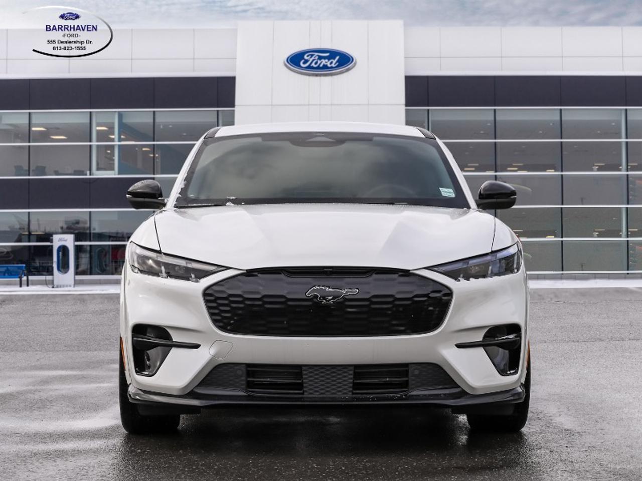 2025 Ford Mustang Mach-E GT Photo