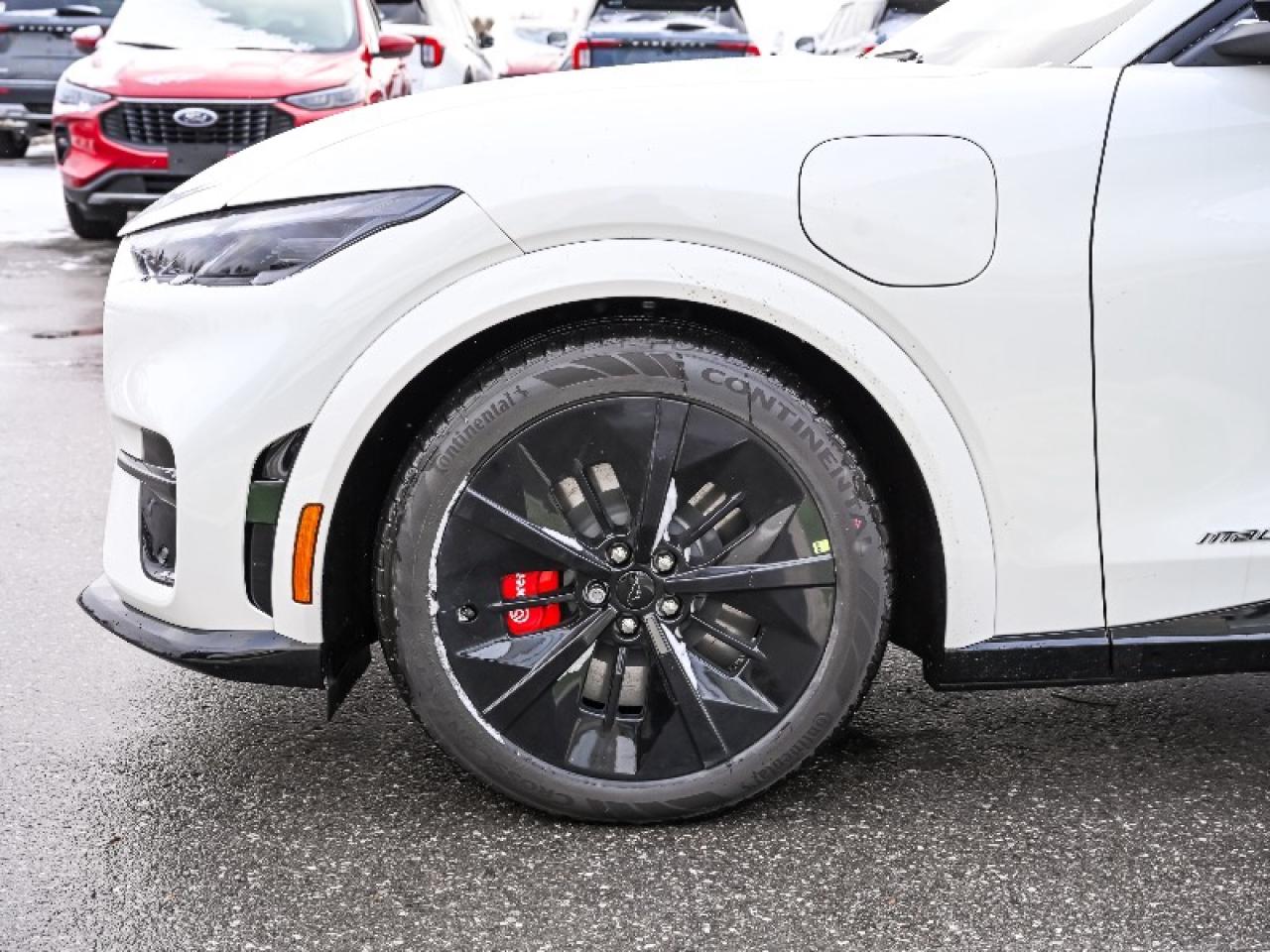 2025 Ford Mustang Mach-E GT Photo