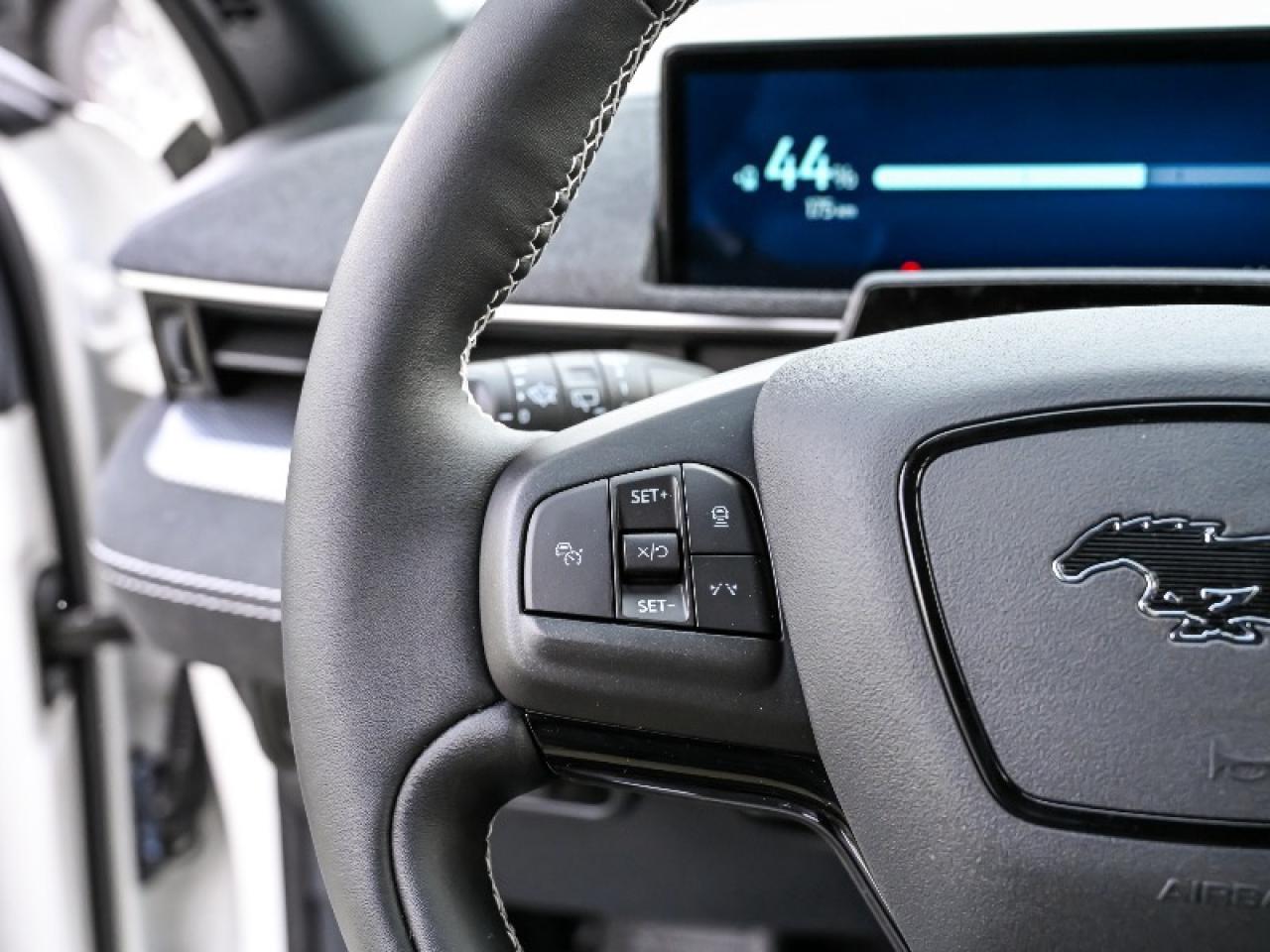 2025 Ford Mustang Mach-E GT Photo