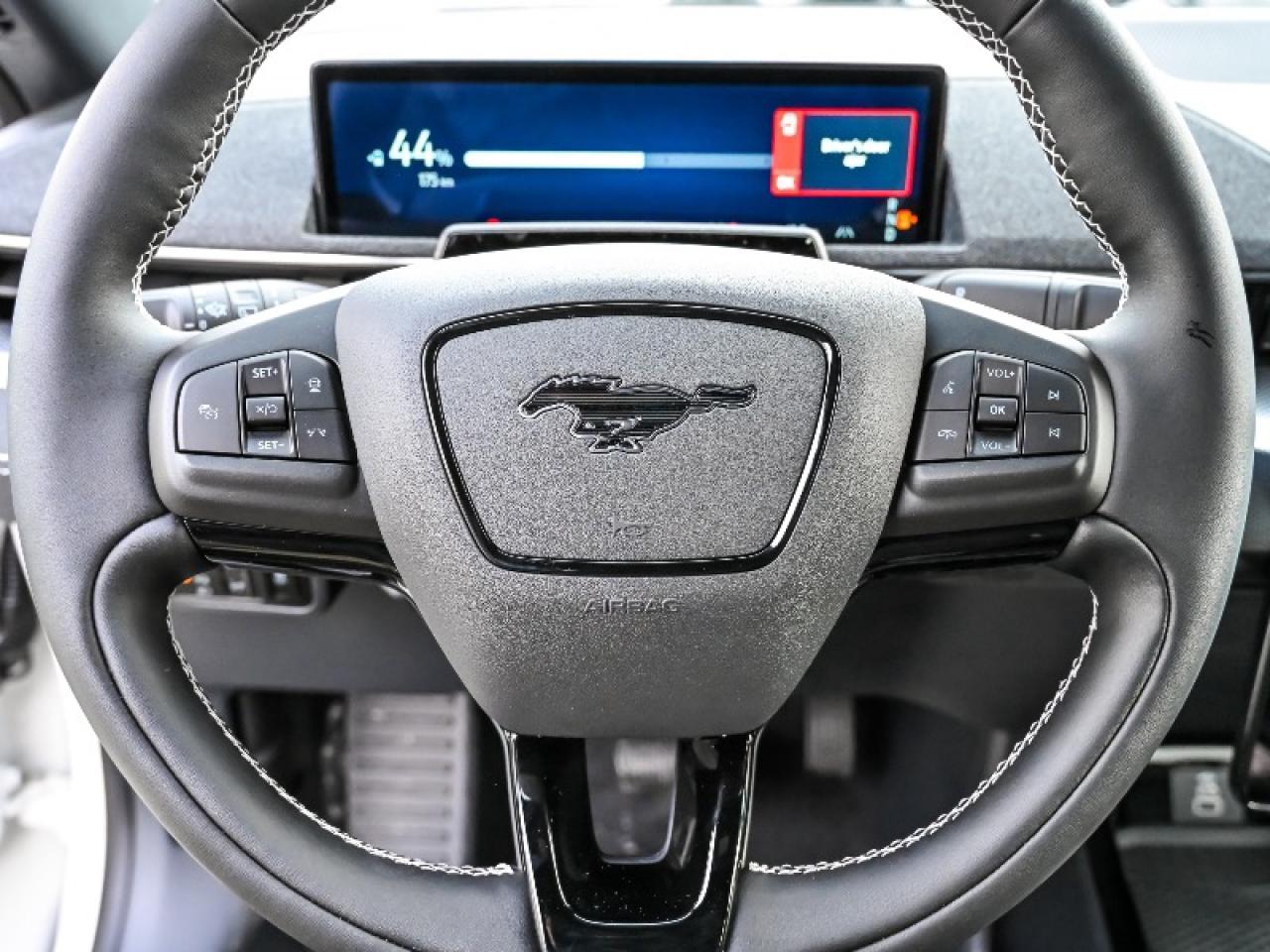 2025 Ford Mustang Mach-E GT Photo