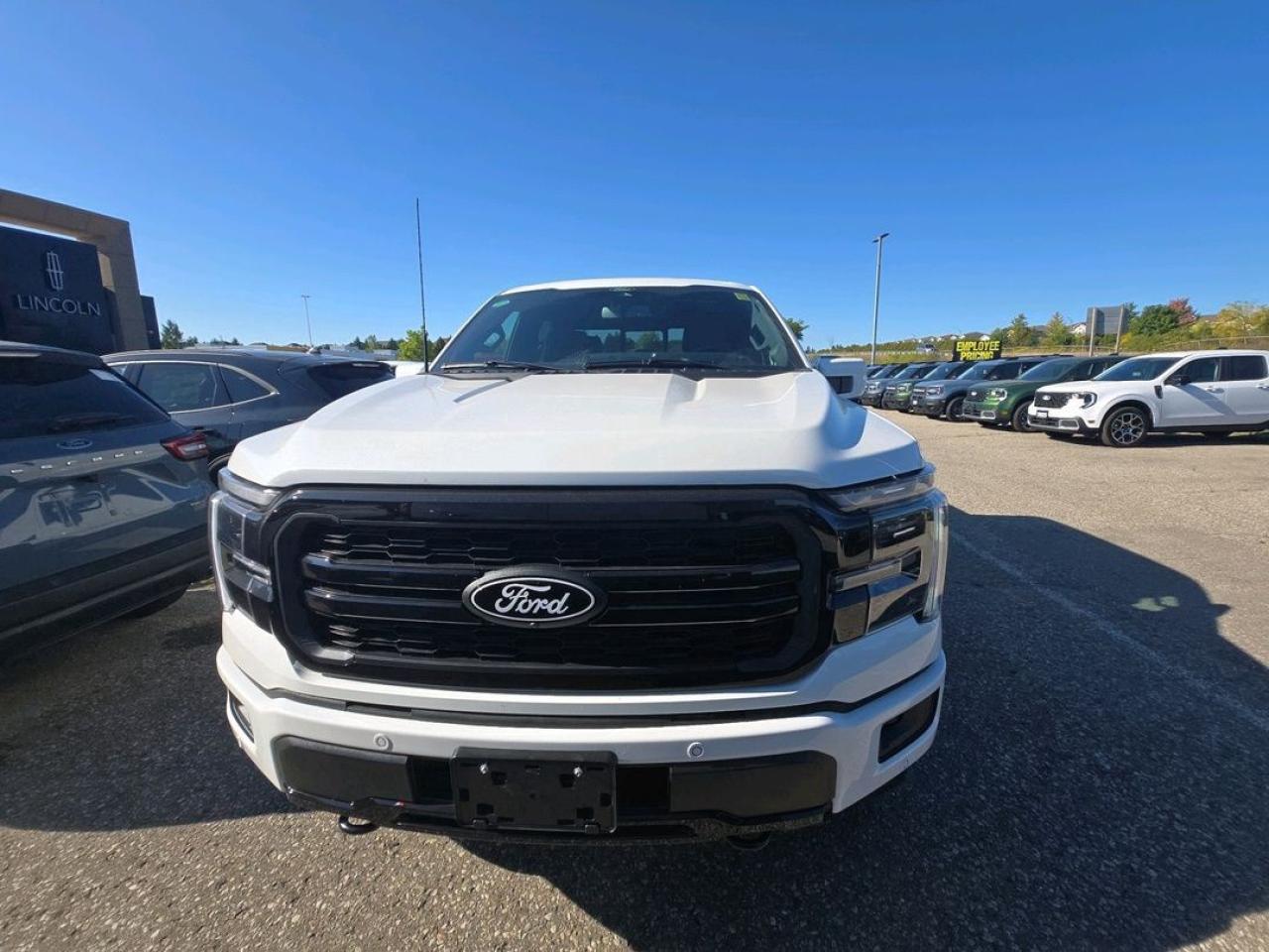 2025 Ford F-150 LARIAT, PANORAMIC ROOF, PRO ACCESS TAILGATE Photo